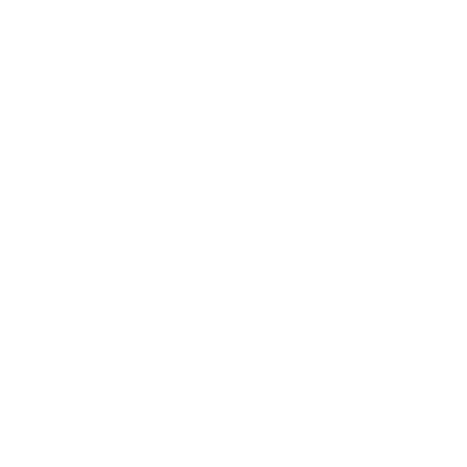 Fast Delivery