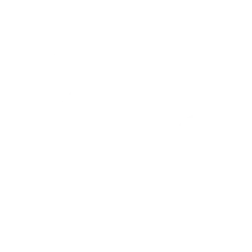 Safe Delivery